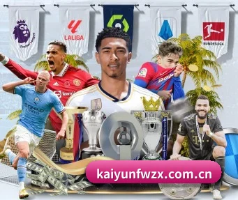 kaiyunfwzx.com.cn APP