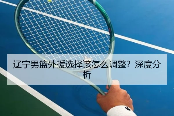 辽宁男篮外援选择该怎么调整？深度分析